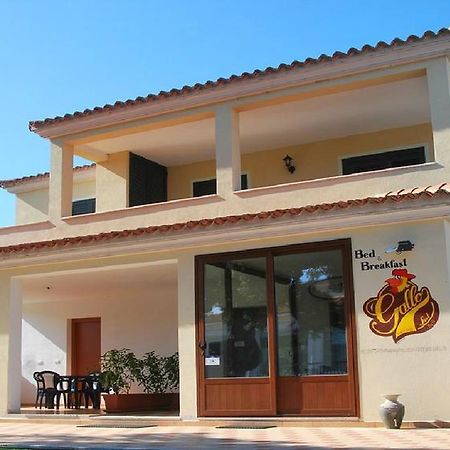 Gallo Spot Hotel San Teodoro  Eksteriør billede